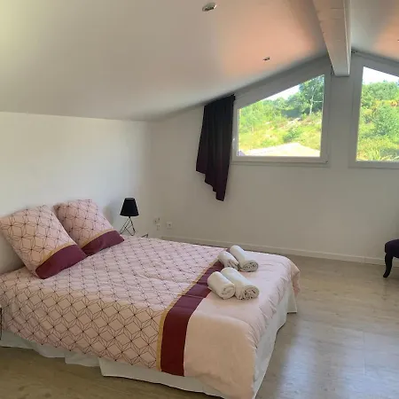 فيلة Climatisee 12 Personnes Piscine Chauffee Et Jacuzzi *