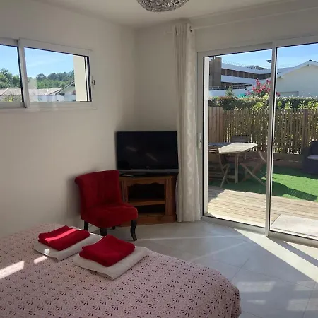 12 Personnes Piscine Chauffee Et Jacuzzi Capbreton