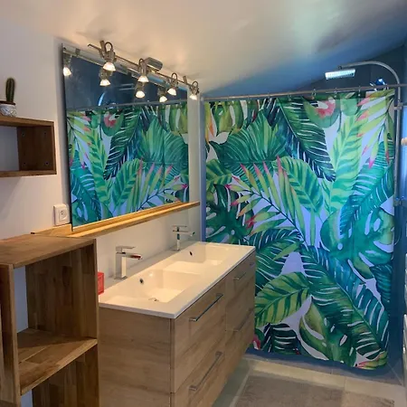 Vila 12 Personnes Piscine Chauffee Et Jacuzzi Capbreton